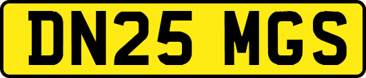 DN25MGS