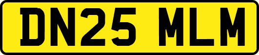 DN25MLM