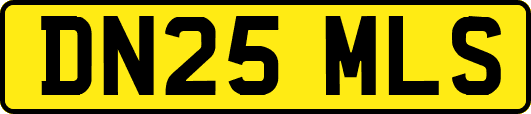 DN25MLS