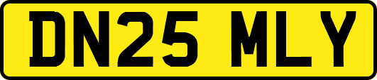 DN25MLY