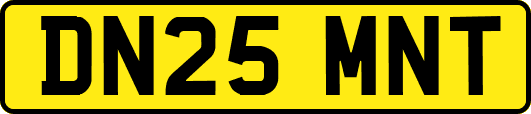 DN25MNT