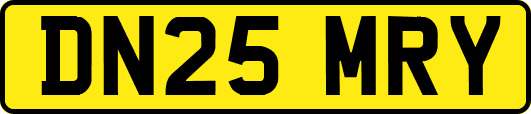DN25MRY