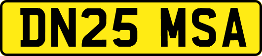DN25MSA
