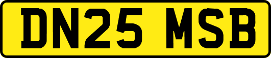 DN25MSB
