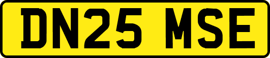 DN25MSE