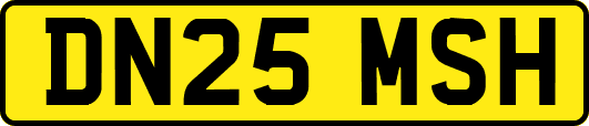 DN25MSH
