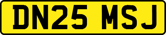 DN25MSJ