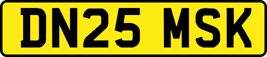 DN25MSK