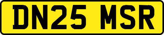 DN25MSR