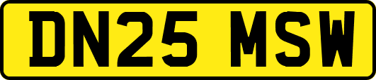 DN25MSW