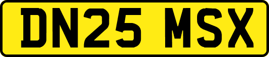 DN25MSX