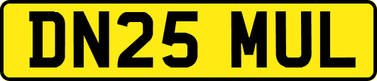 DN25MUL