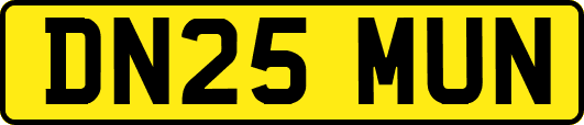 DN25MUN
