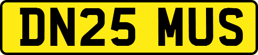DN25MUS