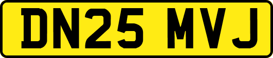 DN25MVJ