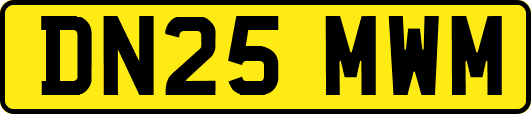 DN25MWM