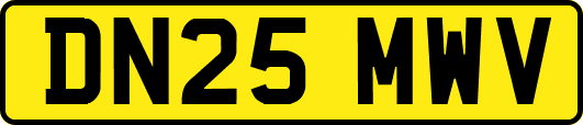 DN25MWV