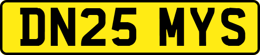 DN25MYS