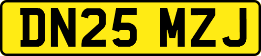 DN25MZJ