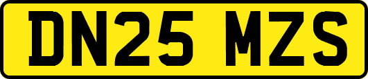 DN25MZS