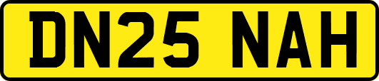 DN25NAH