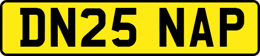 DN25NAP