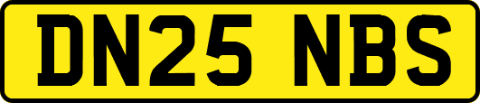DN25NBS