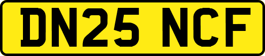 DN25NCF