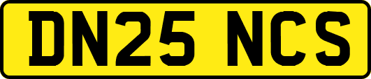 DN25NCS