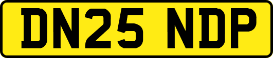 DN25NDP