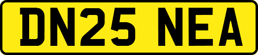 DN25NEA