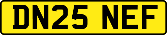 DN25NEF
