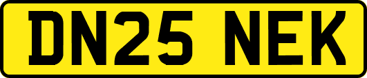 DN25NEK