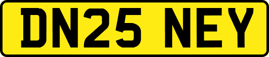 DN25NEY