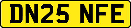 DN25NFE