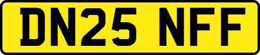 DN25NFF