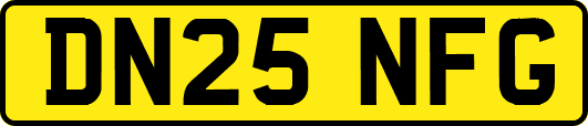 DN25NFG
