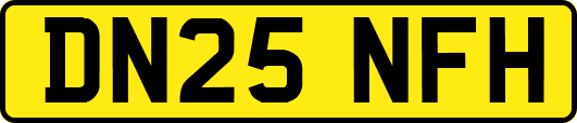 DN25NFH