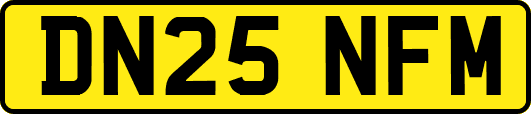 DN25NFM