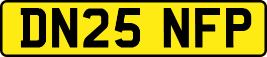 DN25NFP