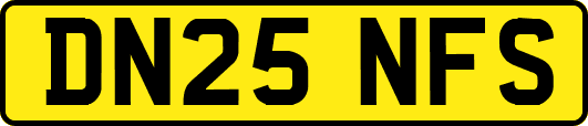 DN25NFS