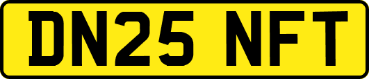 DN25NFT