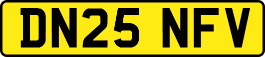 DN25NFV