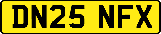 DN25NFX