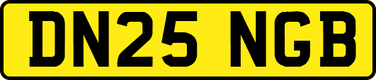 DN25NGB