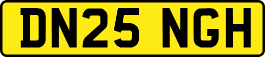 DN25NGH