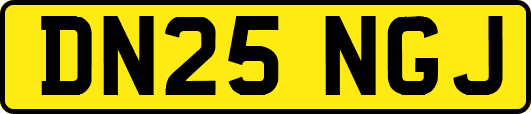 DN25NGJ