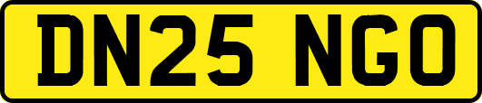 DN25NGO
