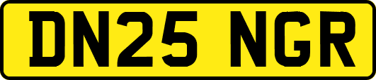 DN25NGR