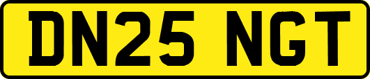 DN25NGT